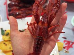 -虎虎龙虾大排档(双井店)