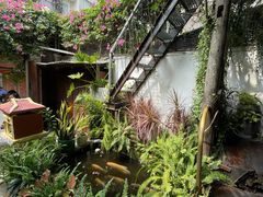 -Cục Gạch Quán