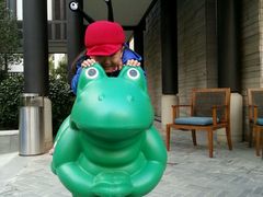 -上海崇明金茂凯悦酒店