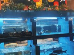 -岳州三毛·钻石卤虾(润泽园店)