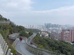 -福道