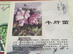 -双喜农庄·菌香园(安居家园店)
