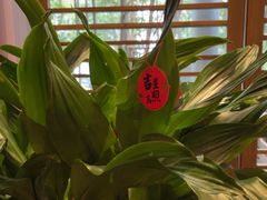 -东方明珠老上海8号餐厅(东方明珠广播电视塔店)