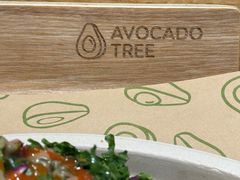 -油梨树 AVOCADO TREE(亮马桥店)
