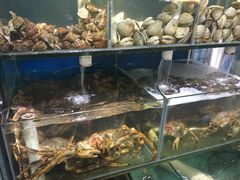 -蚝专家(北滘店)