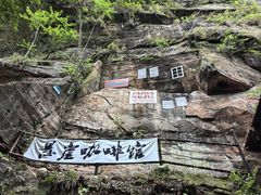 -芦沟竹海
