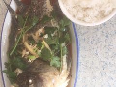 -鲤鱼塘农家山庄