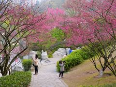 -重庆彩云湖湿地公园