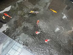 -天津波士信达奔驰4S店(卫津南路店)