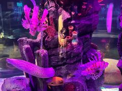 -沈阳海洋探索中心