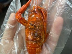 -隆康社长沙烧烤铺(桔园店)