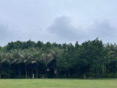 -深圳湾公园(南山区)