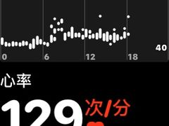 -圣母百花圣殿