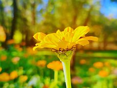 -长春公园(普阳街道)