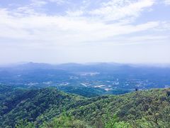 -广州市帽峰山景区