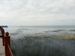 -青海湖仙女湾景区