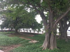 -南沙十九涌渔人码头-南门