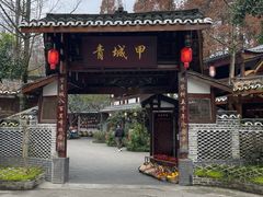 -青城甲(青城山店)