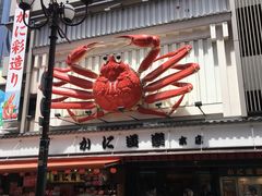 -蟹道乐(道顿堀本店)
