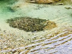 -南海湾森林生态园