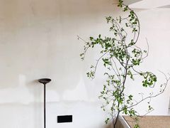 -SPARROW 家雀儿咖啡本店
