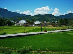 -黄牛肉馆·皖南土菜