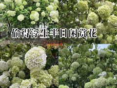 -大龙山(地铁站)