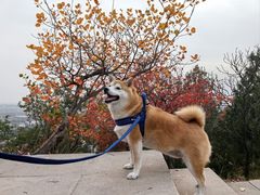-十三陵水库
