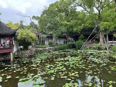 -上海醉白池公园