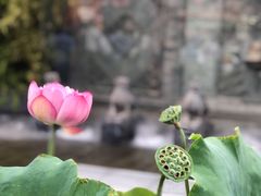 -永兴坊