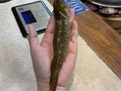 -船梆煮•蒸汽海鲜·生腌干蒸(五四广场店)