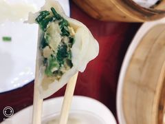 肉三鲜-南鹿饺子馆