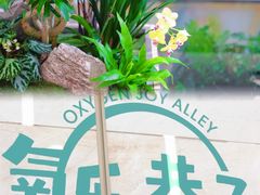 -观音桥步行街