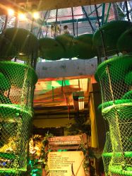 -恐龙探索乐园(磁器口店)