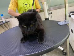 -暖阳宠物医院·犬猫康复中心·骨科