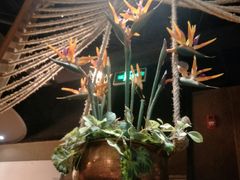 -云海肴·汽锅鸡·云南菜(天津国金汇店)