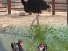 -商丘市人民公园