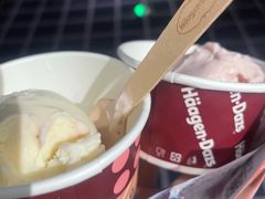 -哈根达斯(西安高新店)