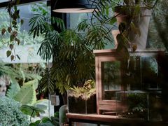 -自由生长植物工作室(深港花卉中心店)