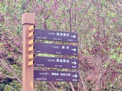 -涂山风景区