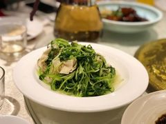 -金枝玉叶上海人家食府(三里河店)