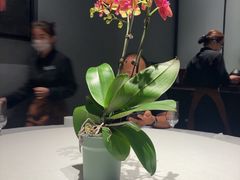 -望京辣宴·古法川菜(望京店)