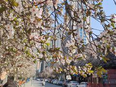 -西安创业咖啡街区