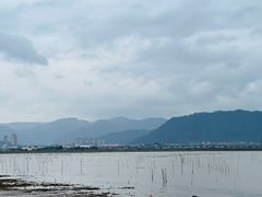 -北岐滩涂