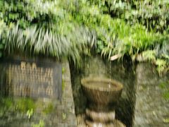 -十八棵（老龙井）御茶园(老龙井店)