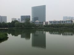 -大兴滨河森林公园