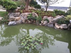 -武汉园博园(武汉自然博物馆)