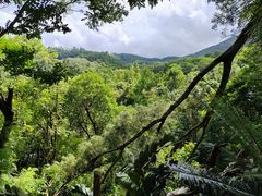 -深圳仙湖植物园