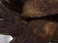 -啤仕多·啤客国潮跳舞BAR(保俶路店)