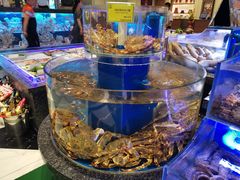 -新海渔港·胶东海鲜家常菜·家宴(奥体中心店)